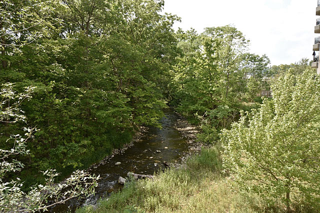 Spencer Creek