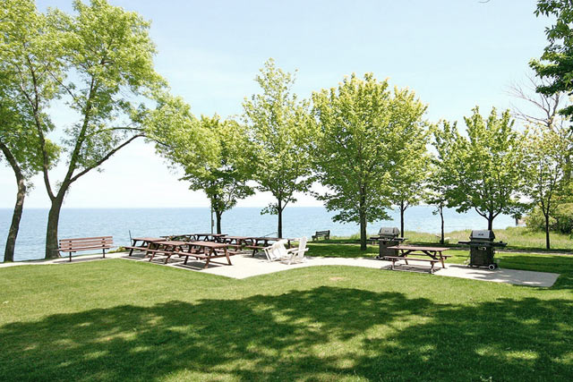 Patio Area with Barbecues